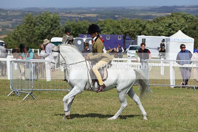 1X9A5764 - Class 40: NPS Welsh A & B