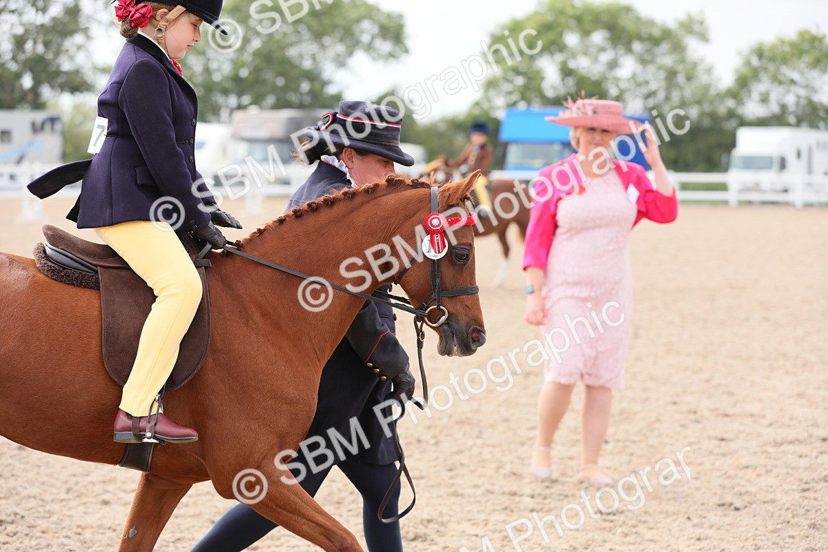 SBM_16897 - Class 314 Family Horse/Pony
