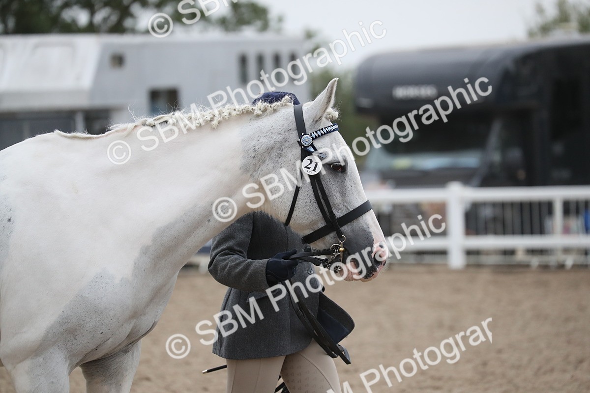 SBM_18282 - Class 318 IH Part bred Horse/Pony
