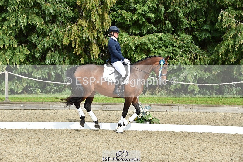 230812-160858-05416 - Novice Bronze Presentations