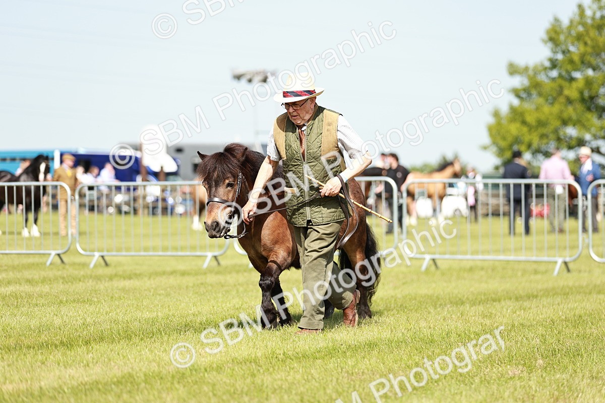 SBM_01845 - Class 14-23 - Mountain & Moorland In Hand Non Welsh