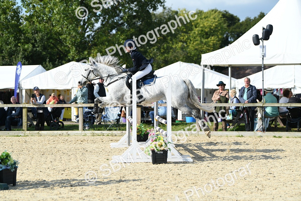 SBM_61765 - j25 - Junior Horse 80cm Championship