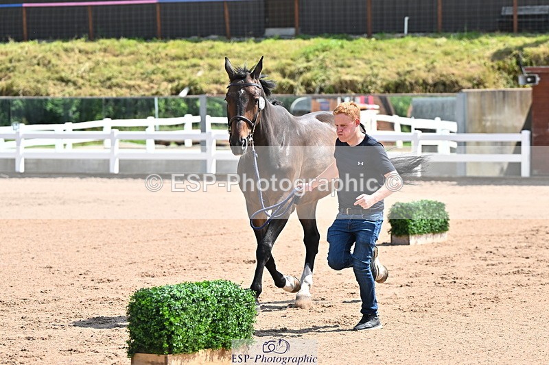 240718A-105239-00983 - Trot Up 11am to 12pm