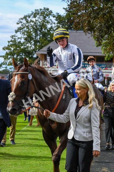 260823-Race 5-Albasheer-0808 - Race 5 Sky Bet Constantine Handicap