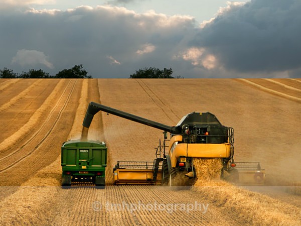 Harvest Time. - Yorkshire Countryside