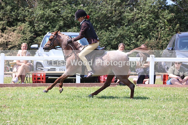 JPP_2976 - Class 22: Working Hunter 70cm