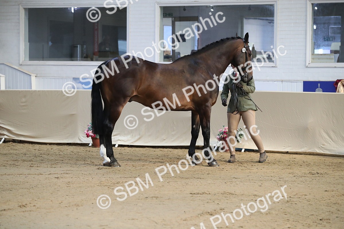 SBM_00535 - class 2a Area IH Veteran