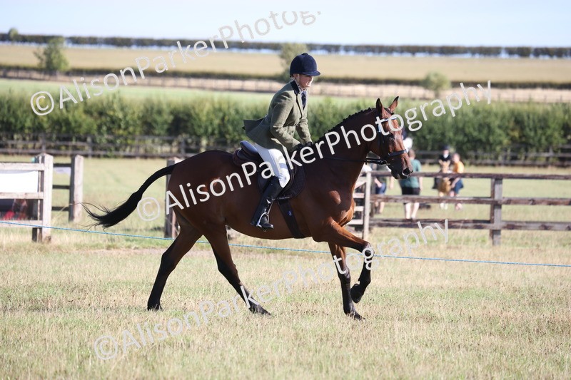 20260906-0366 - Class 14 - Ex Racehorse