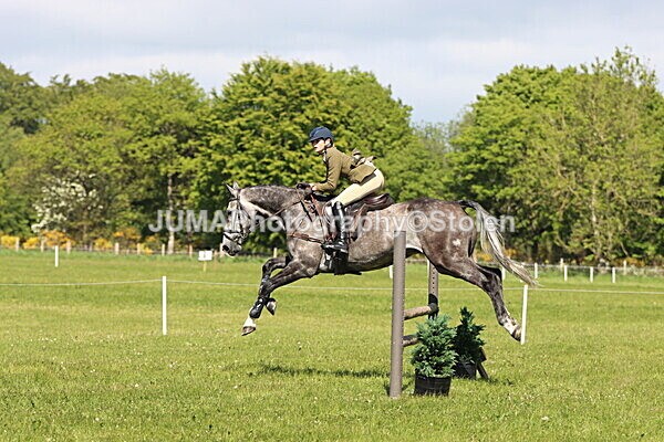 IMG_4613 - Working Hunter