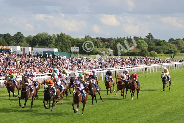 yr11062022r8-45 - Race 8 5.25pm Clean up with PPS Stakes