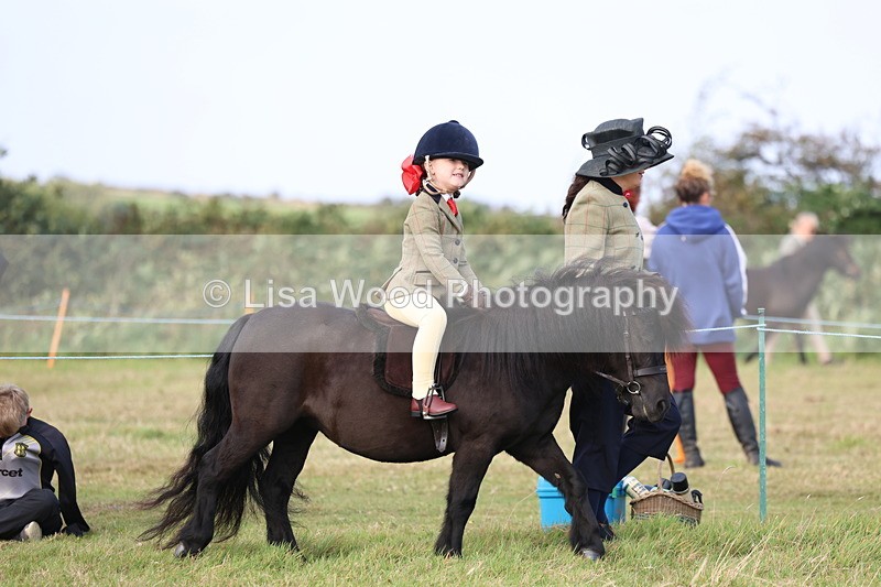 3E7A3329 - Class 2: Lead rein