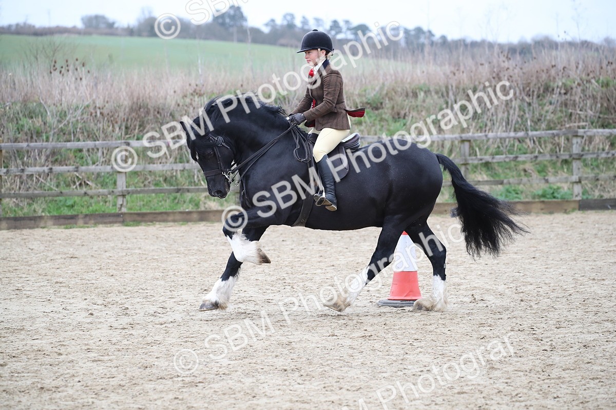 SBM_007090 - Class 10-13 - RIHS Small Large Breeds
