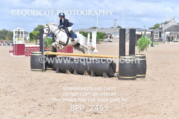 BPP_2455 - DERBY CLASS 7 - 80CM