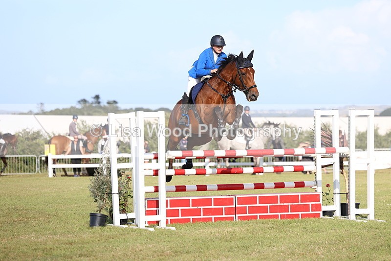 3E7A4375 - Class C: Showjumping Senior Foxhunter