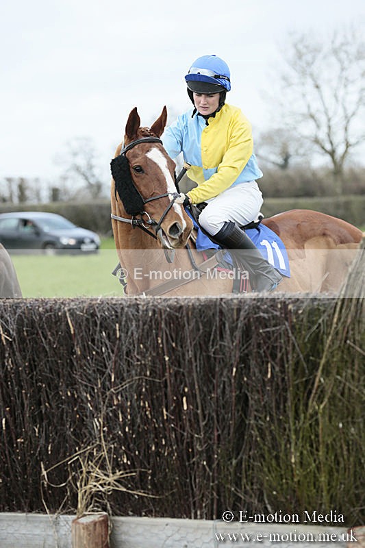 PtP 230319 71 - VWH Hunt Siddington Point-to-Point Racing 23/03/19