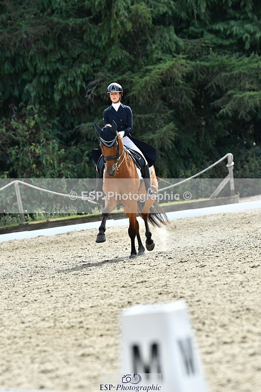260802A-153214-07464 - Intermediate Bronze
