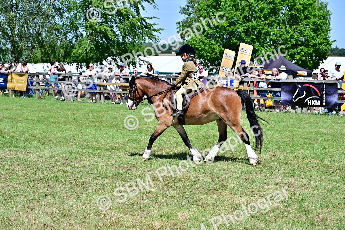 SBM_06111 - Class 59-60 - TSR M&M  Lear Rein and First Ridden Amateur of the year