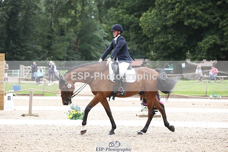 230812-115250-03885 - Cls 5 Novice Bronze 11.15 to 12.50 break