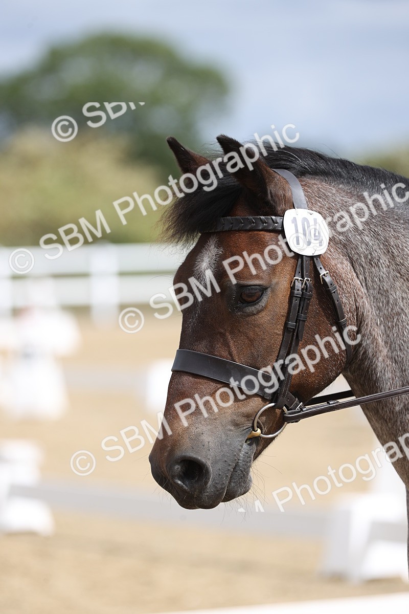 SBM_002841 - Class 6 - Prelim 3 Champs