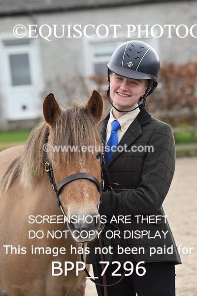 BPP_7296 - RING 1  (RIDDEN HORSES / IN HAND / VETERAN ETC)