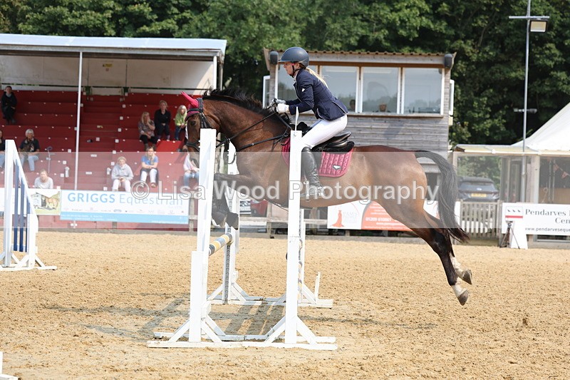 3E7A1390 - Class 4: Senior British Novice/90cm open