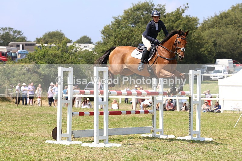 3E7A3339 - Class 10: Senior Foxhunter/1.20 open
