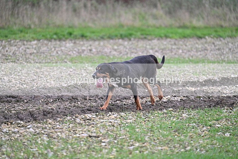 WJ7_0253 - Camera 1 & Last fence
