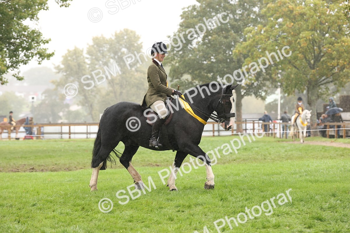 SBM_72895 - Ridden Horse Supreme Championship