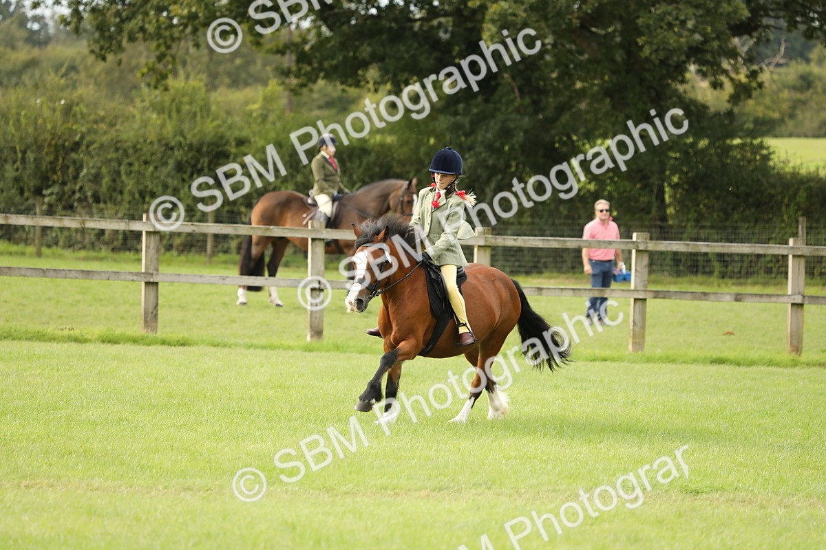 SBM_71545 - S41 - Ridden Equitation (Best Rider)