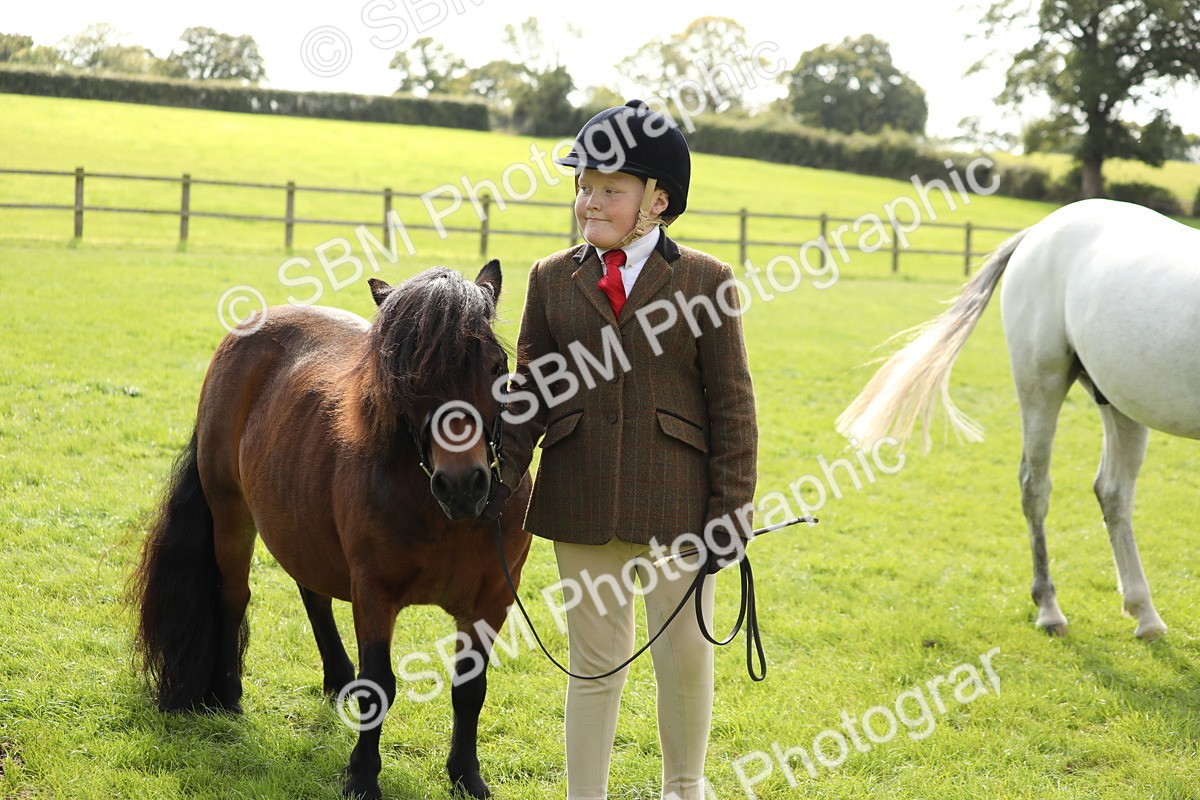 SBM_68550 - S40 - Junior Handler 9-12 Years