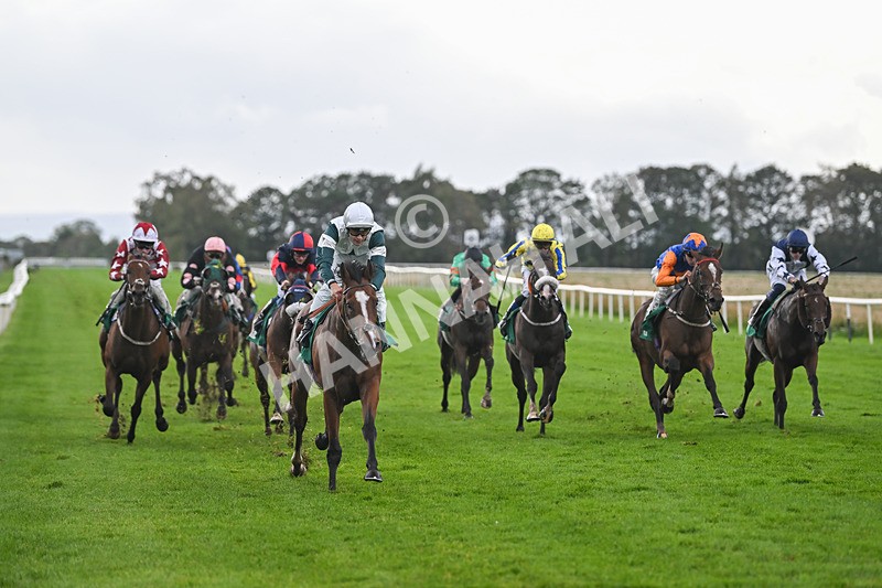 150925-Race 4-Hockney-2749 - Race 4