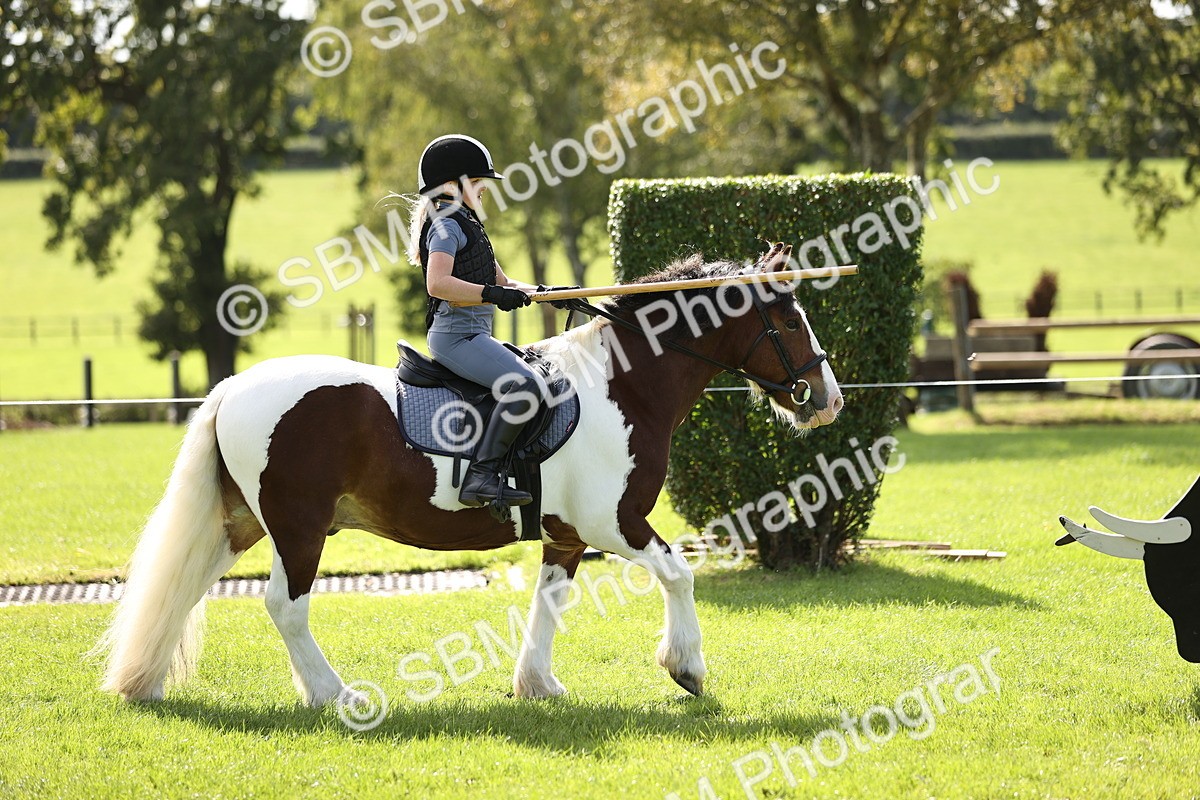 SBM_22909 - S4 - Have a Go at Working Equitation