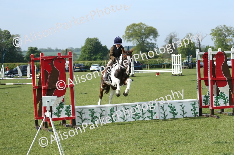 20260426-0238 - Class 13 - Rookie Jumping 50cm