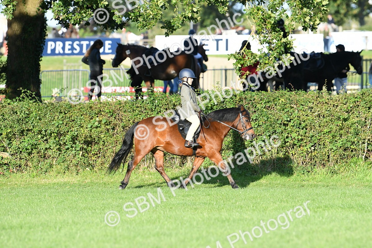 SBM_54107 - S23 - 1st Ridden Mountain & Moorland Pony