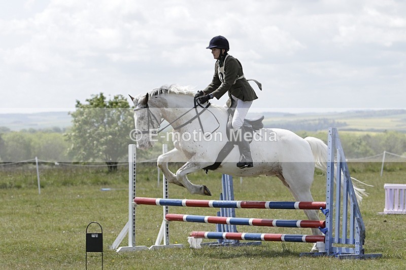 BVHT 140517 N-353 - Class 2 SJ Novice 14/05/17