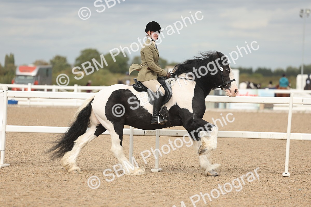 SBM_18001 - Class 314 - Family Horse Pony