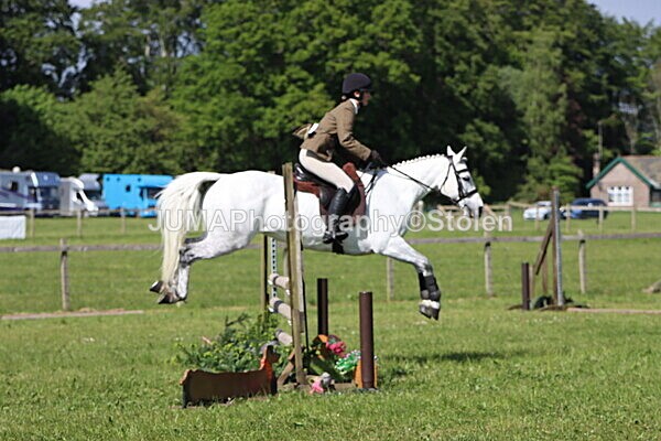 IMG_4833 - Working Hunter