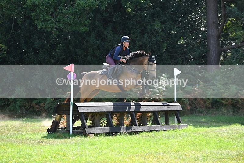 WJ5_2342 - XC Time 11:17 to 11:50