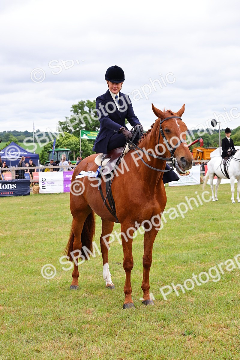 SBM_02895 - Class 9-11 Side Saddle including LIHS Rising Star Ladies Show Horse