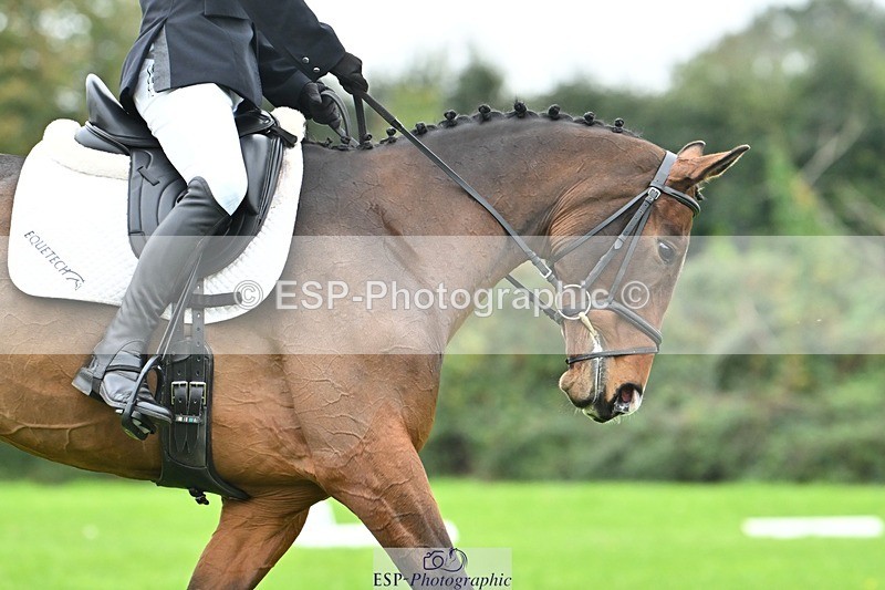 241024-133135-04127 - 327-Daniel.Hockey-JANE.CAMILLE