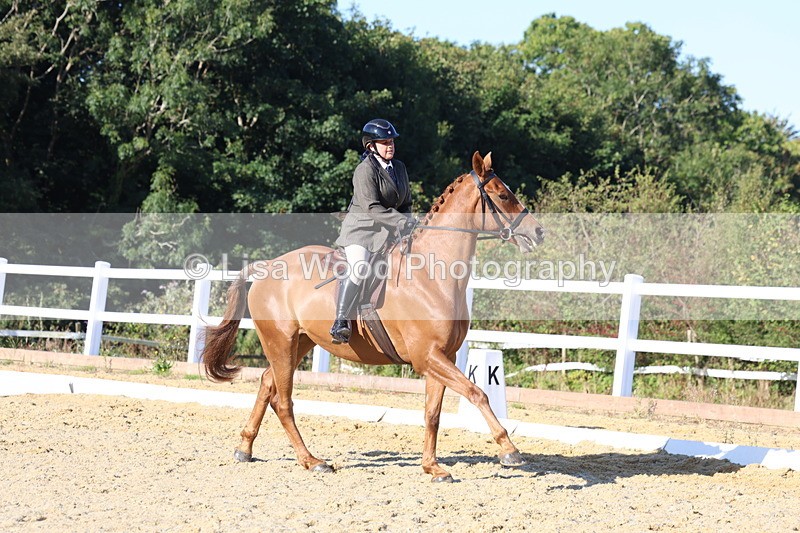 3E7A5173 - Class 7: Novice Ridden Hunter/Hack/RH/Cob