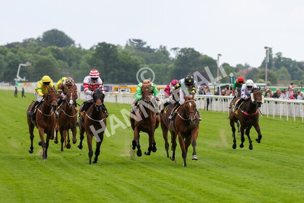 yr11062022r3-24 - Race 3 2.35pm The JCB Stakes
