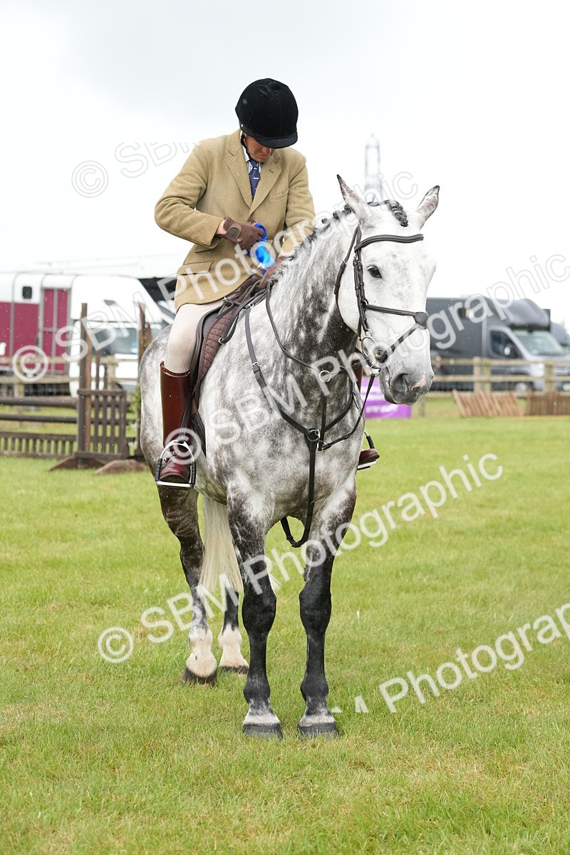 SBM_12801 - Class 97-98 - LIHS BSHA Rising Star Working Show Horse Hunter