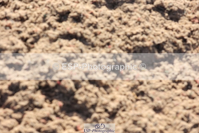 240629A-183358-09338 - Cls 14 Springboard 128cm + 138cm