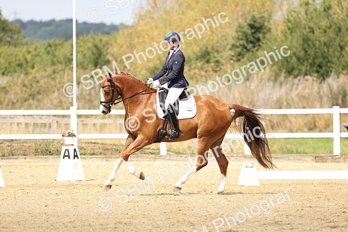 SBM_018335 - Class 16 - Novice 5 - 11.12-12.01