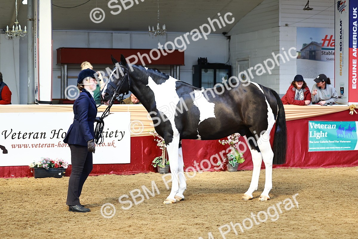 SBM_23267 - Class 903 - Supreme Final - IH Pre Vet