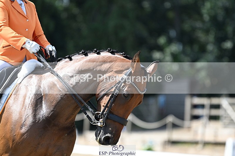 250810A-111652-05822 - 052-Tyler.BradshawMexx