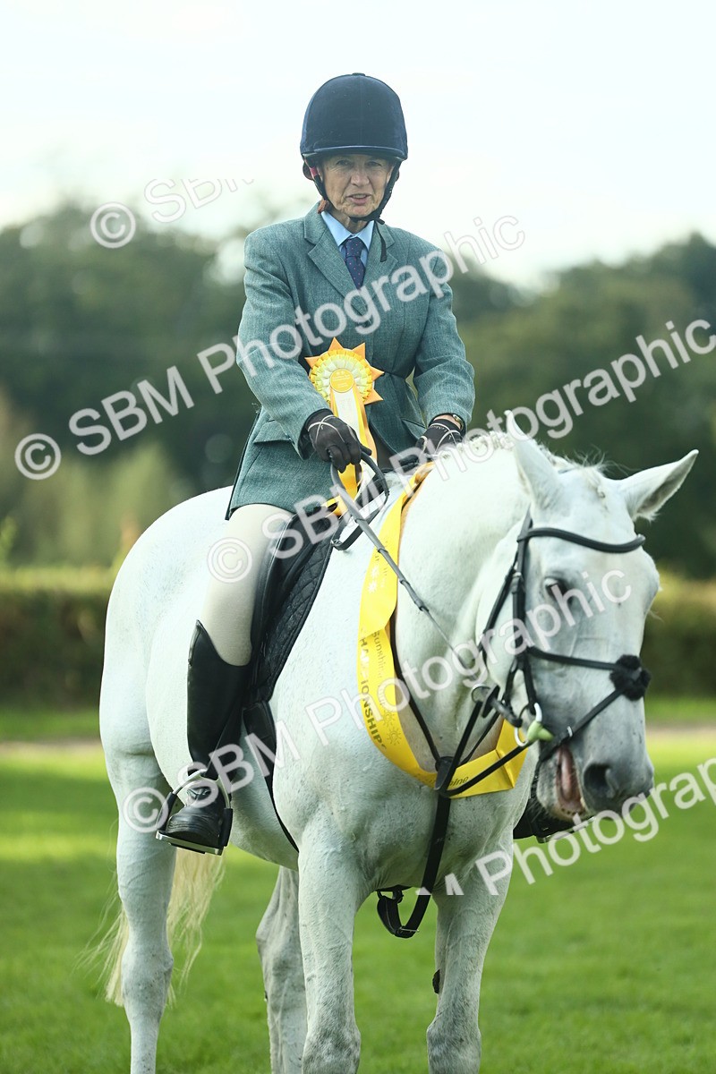 SBM_52219 - S33 - Working Hunter & Working Show Horse