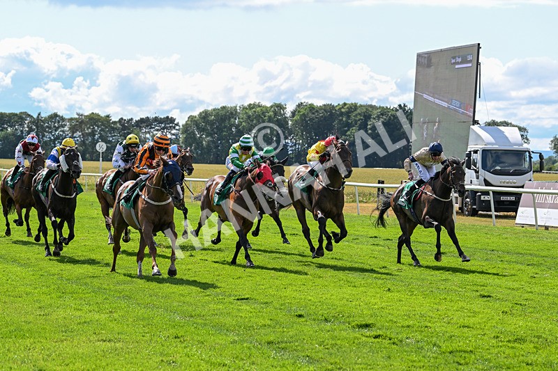 020725-Race 5-Mereside Madness-2585 - Race 5