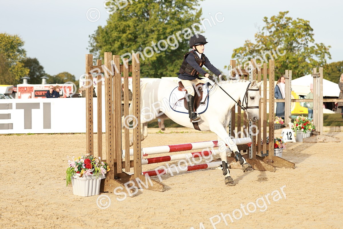 SBM_55501 - J11 - Junior Pony 50cm Championship